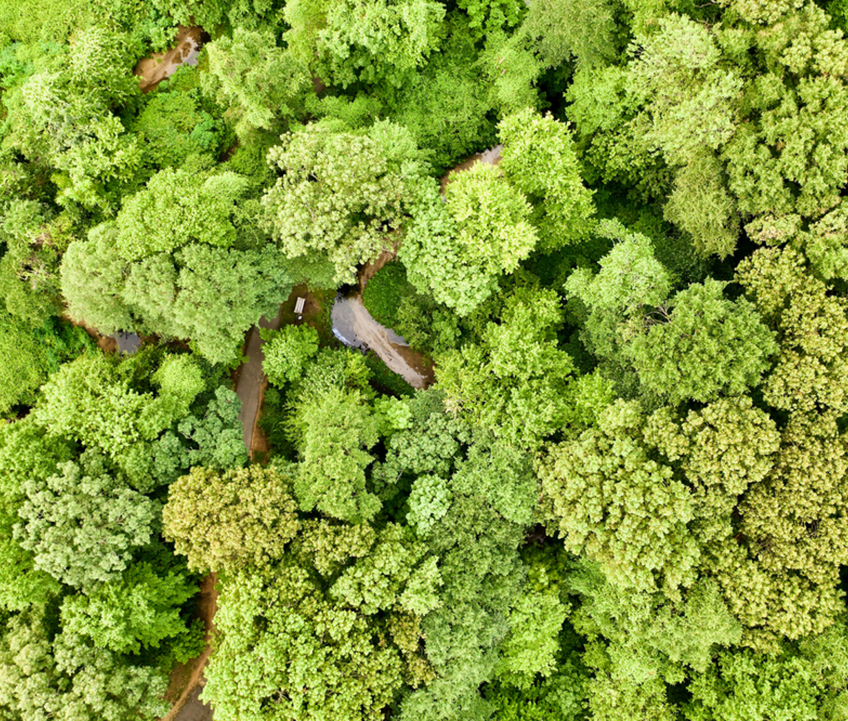 Protect natural resources and biodiversity 